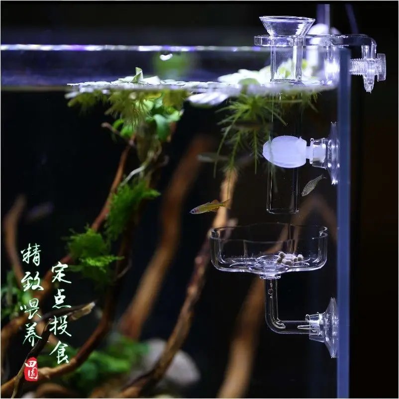 Aquarium Feeding Tray Clear Fish Shrimp Food Feeder Tube Dish Shrimp Bowl Feeding Ring Fish Tank Decoration Accessories