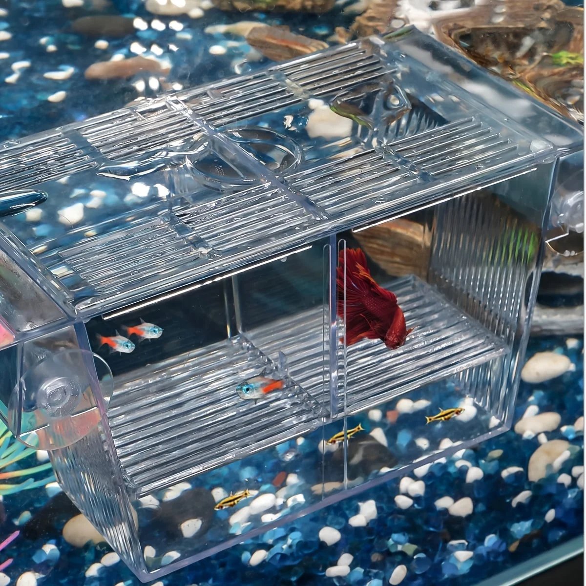 Fish breeding box, acrylic fish isolation box, with suction cups, aquarium incubator, suitable for baby fish, shrimp, clownfish, Fish breeding box, acrylic fish isolation box, with suction cups, aquarium incubator, suitable for baby fish, shrimp, clownfish,