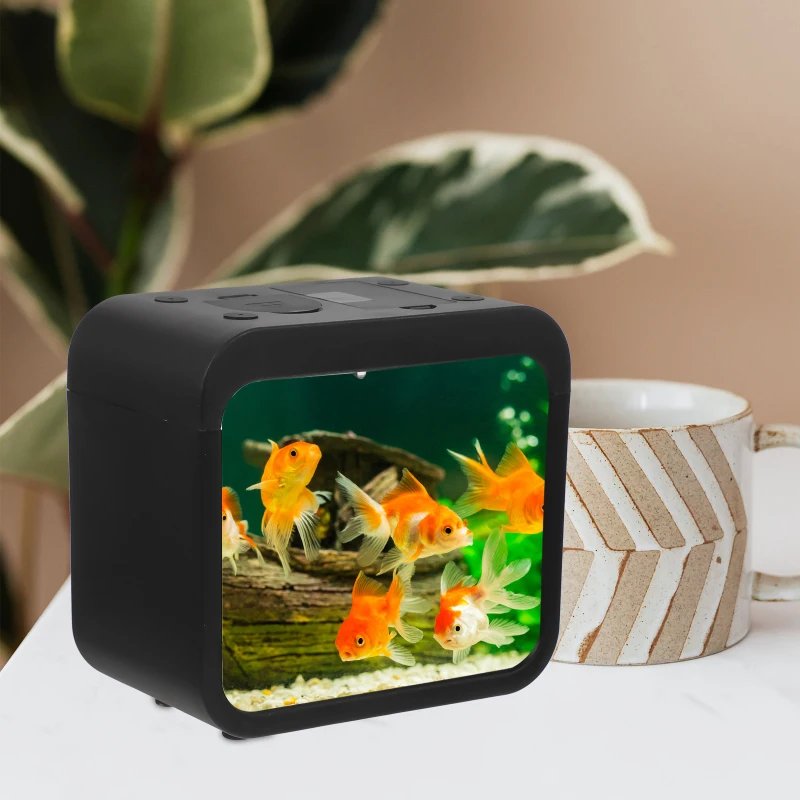 Creative aquarium LED decoration small aquarium fish tank betta transparent fish tank LED light goldfish small fish tank Creative aquarium LED decoration small aquarium fish tank betta transparent fish tank LED light goldfish small fish tank
