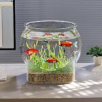 Clear Fish Tank Resistant Falling Round Desktop Aquarium Multifunctional Durable Ornamental Fish Decor