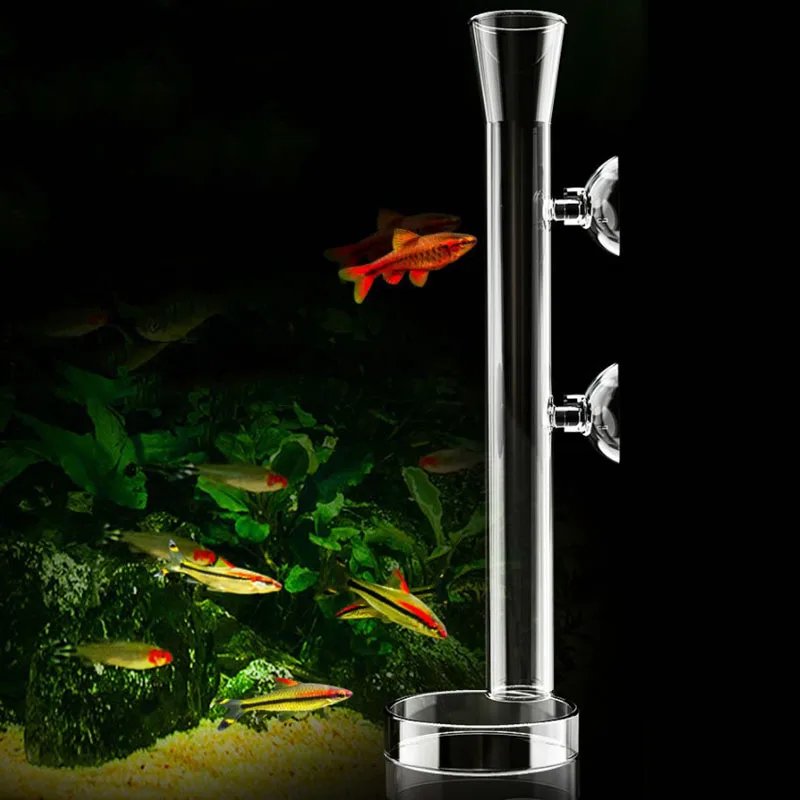 Glass Aquarium Feeder Tube Dish Transparent Fish Tank Shrimp Snail Food Feeder Bowl Aquarium Feeding Accessories Shrimp Feeders Glass Aquarium Feeder Tube Dish Transparent Fish Tank Shrimp Snail Food Feeder Bowl Aquarium Feeding Accessories Shrimp Feeders