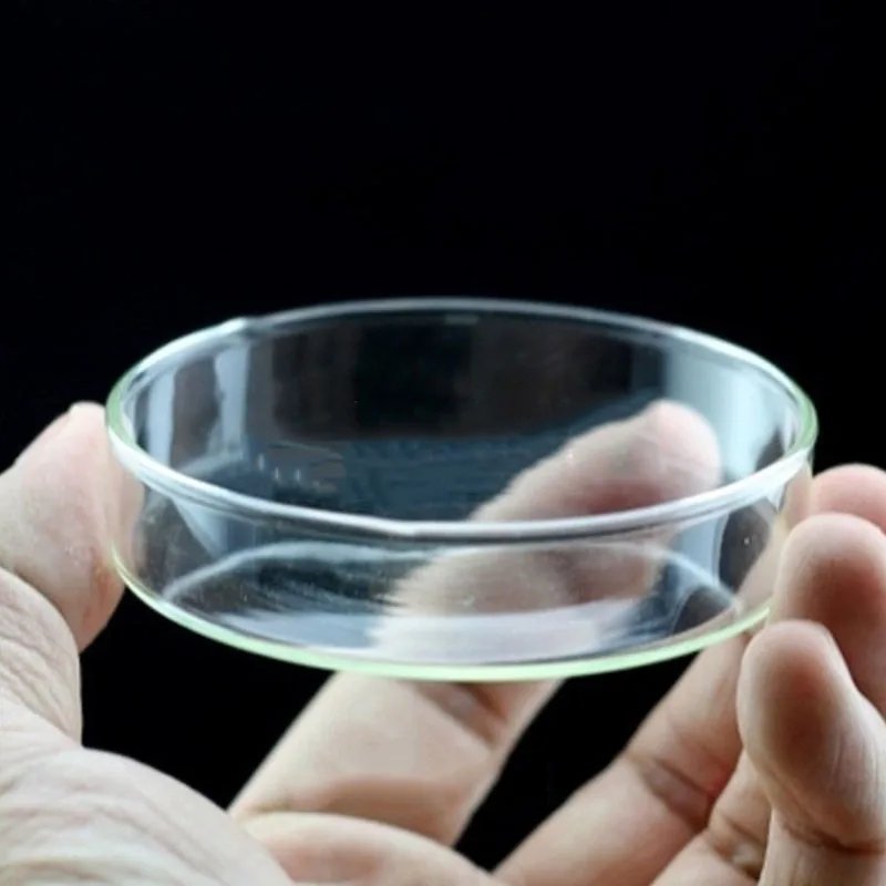 Glass Aquarium Feeder Tube Dish Transparent Fish Tank Shrimp Snail Food Feeder Bowl Aquarium Feeding Accessories Shrimp Feeders Glass Aquarium Feeder Tube Dish Transparent Fish Tank Shrimp Snail Food Feeder Bowl Aquarium Feeding Accessories Shrimp Feeders