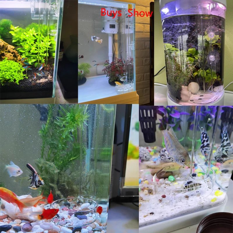 Glass Aquarium Feeder Tube Dish Transparent Fish Tank Shrimp Snail Food Feeder Bowl Aquarium Feeding Accessories Shrimp Feeders Glass Aquarium Feeder Tube Dish Transparent Fish Tank Shrimp Snail Food Feeder Bowl Aquarium Feeding Accessories Shrimp Feeders