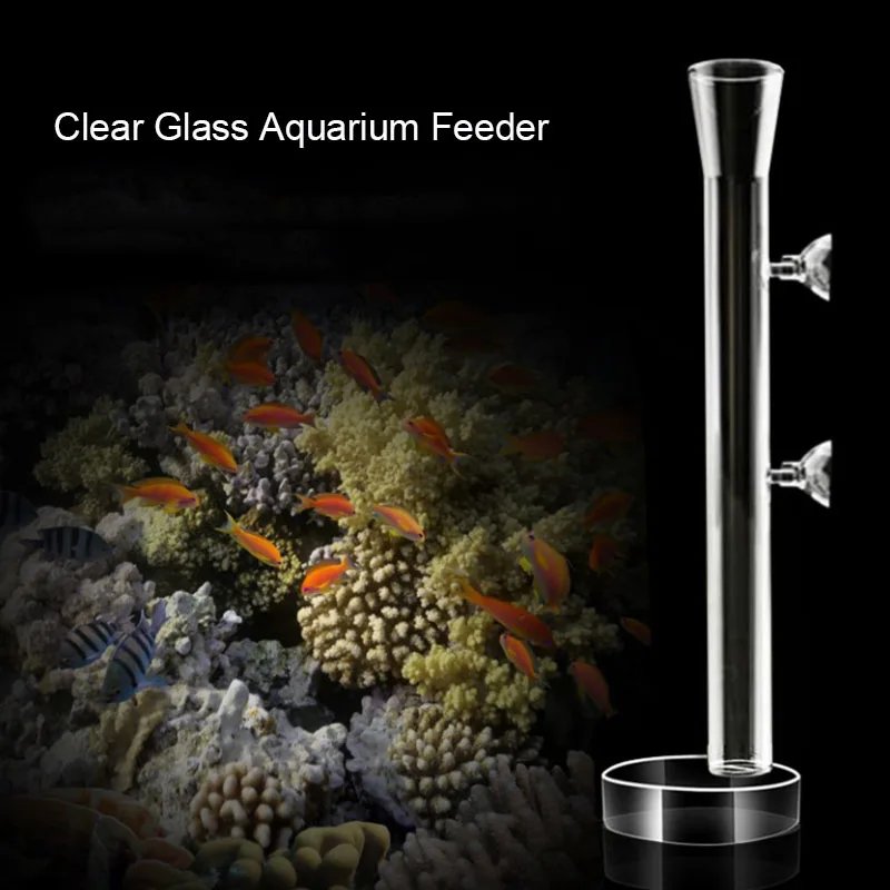 Glass Aquarium Feeder Tube Dish Transparent Fish Tank Shrimp Snail Food Feeder Bowl Aquarium Feeding Accessories Shrimp Feeders Glass Aquarium Feeder Tube Dish Transparent Fish Tank Shrimp Snail Food Feeder Bowl Aquarium Feeding Accessories Shrimp Feeders