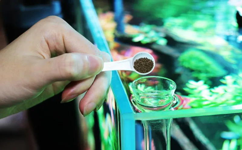 Glass Aquarium Feeder Tube Dish Transparent Fish Tank Shrimp Snail Food Feeder Bowl Aquarium Feeding Accessories Shrimp Feeders