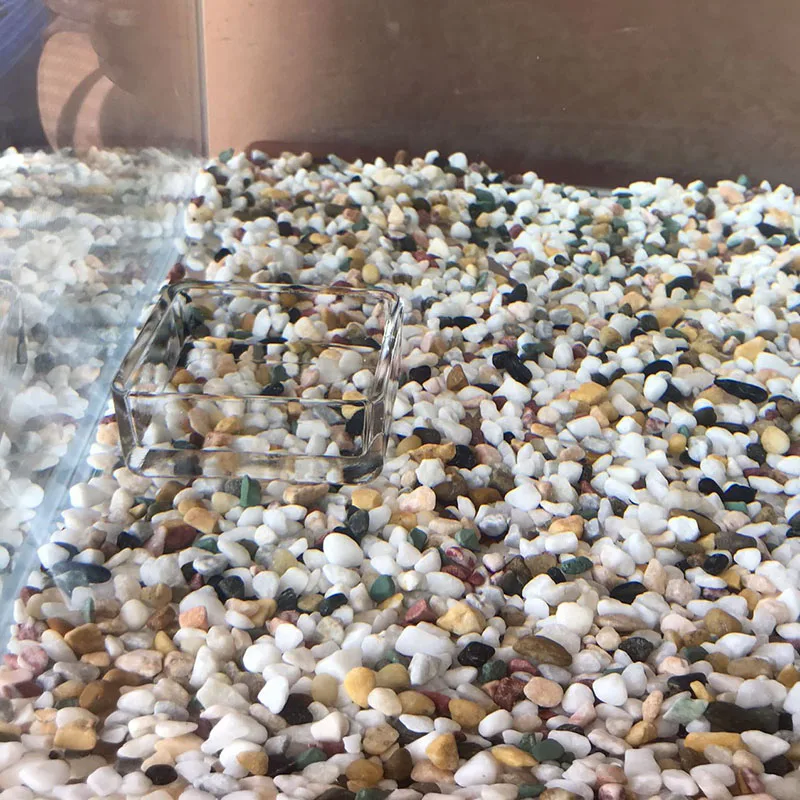 Glass Aquarium Feeder Tube Dish Transparent Fish Tank Shrimp Snail Food Feeder Bowl Aquarium Feeding Accessories Shrimp Feeders