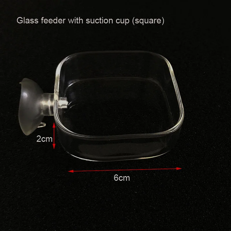 Glass Aquarium Feeder Tube Dish Transparent Fish Tank Shrimp Snail Food Feeder Bowl Aquarium Feeding Accessories Shrimp Feeders