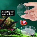 Aquarium Feeding Bowl Fish Tank Feeder Shrimp Tropical Fish Ratfish Glass Feeding Dish Clear Round Tray Reduce Food Scraps - Image 6