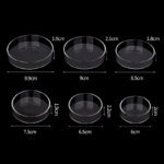 Aquarium Feeding Bowl Fish Tank Feeder Shrimp Tropical Fish Ratfish Glass Feeding Dish Clear Round Tray Reduce Food Scraps - Image 4