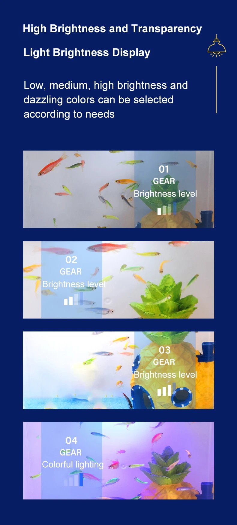 Fish tank living room small mini Douyu tank household tabletop ecological tank self circulating back filter goldfish tank Fish tank living room small mini Douyu tank household tabletop ecological tank self circulating back filter goldfish tank