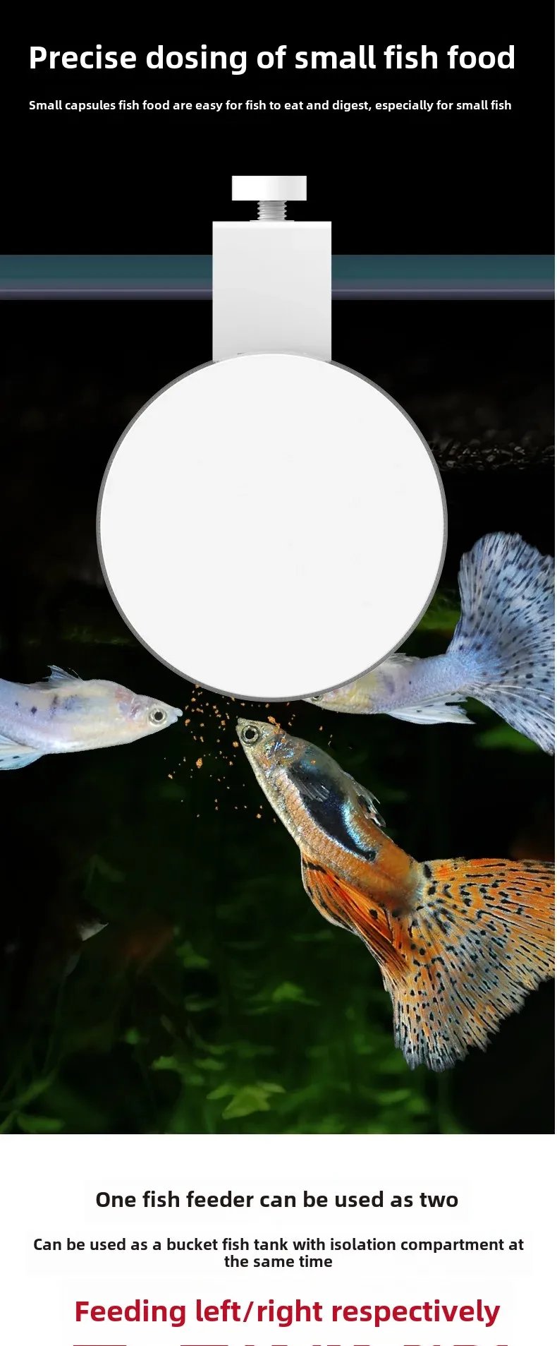 Intelligent Timed Fish Feeder for Small Fish - No Clogging, Perfect for Desktop Fish Tanks