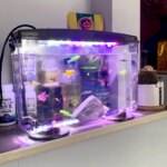 PET Aquariums Shrimp Cover Small Fish Shrimps Turtle Tank Insect Specialized Container Mini Portable Ecosystem Watertank - Image 4