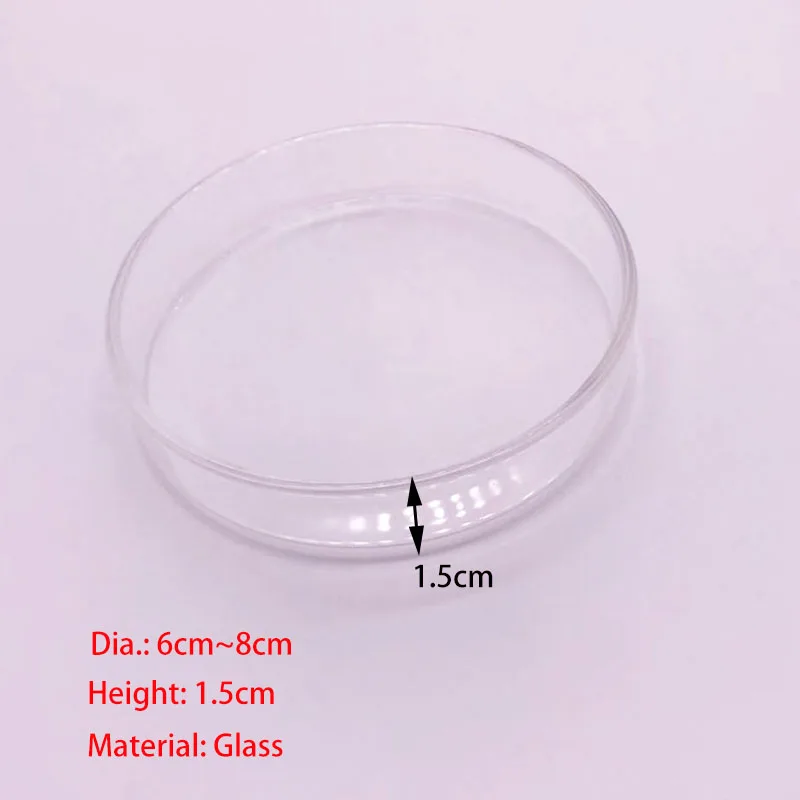 Glass Aquarium Feeder Tube Dish Transparent Fish Tank Shrimp Snail Food Feeder Bowl Aquarium Feeding Accessories Shrimp Feeding