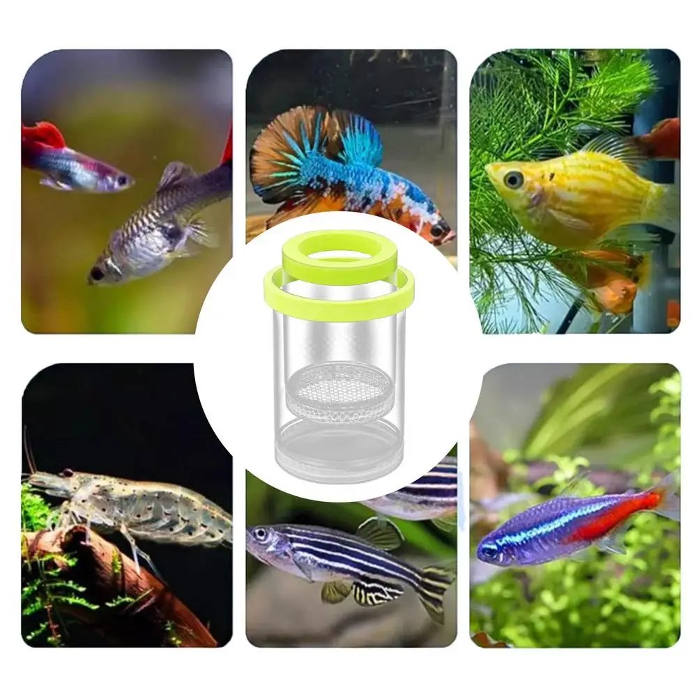 Floating Fish Breeding Isolation Box Aquarium Fish Tank Hatching Incubator Hatching Incubator Aquarium Hatchery Accessories