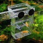 Transparent Fish Aquarium High Clear Breeding Isolation Box Pet Supplies Breeder Tank Double Guppies Hatching Incubator - Image 3