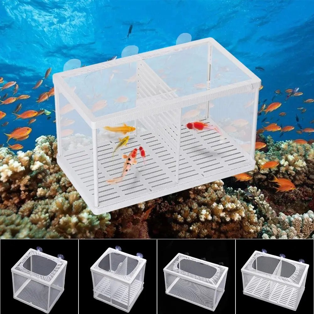 Aquarium Fish Breeding Isolation Mesh Box Net Fish Incubator Breeder Hatchery Fish Tank Isolation Box