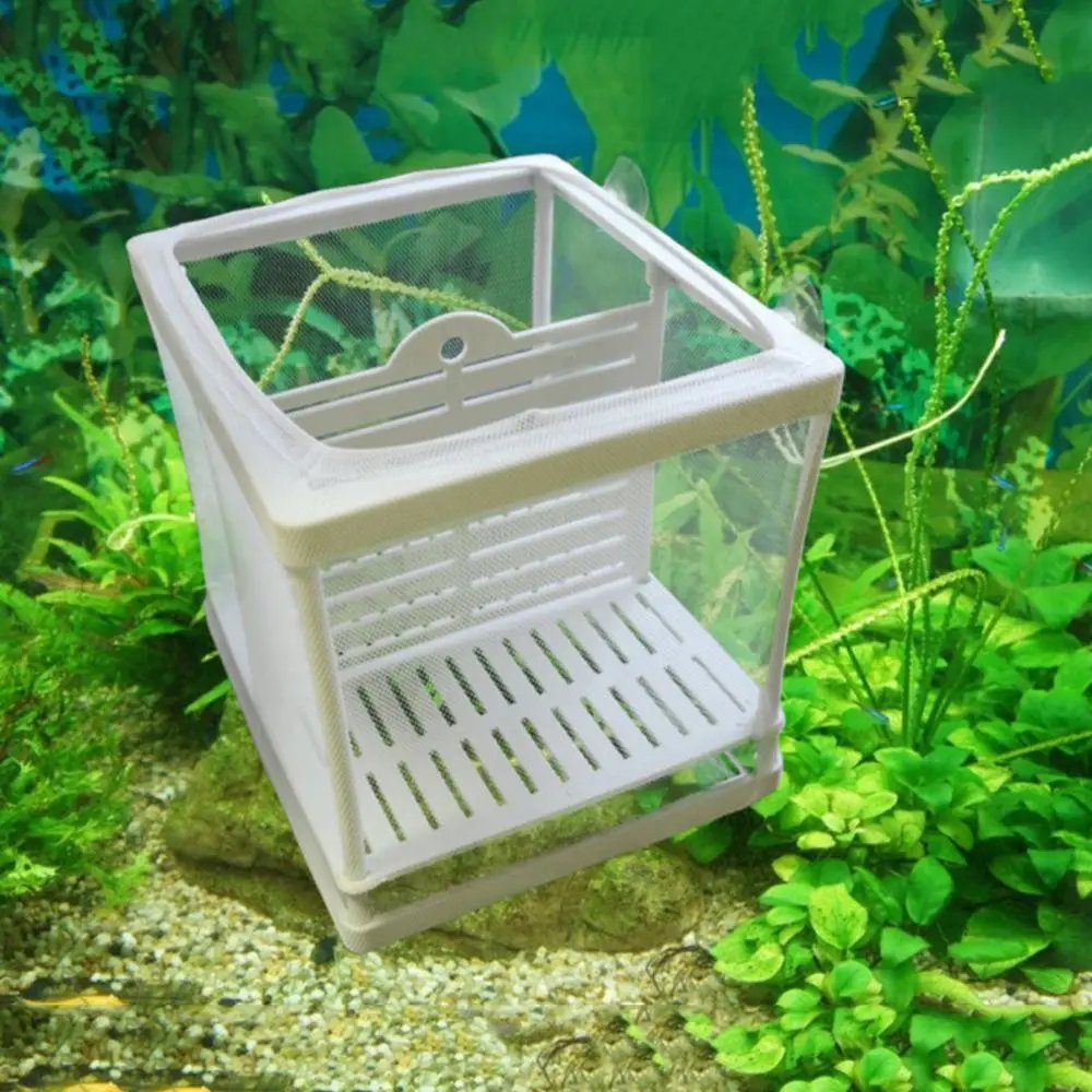 Aquarium Fish Breeding Isolation Mesh Box Net Fish Incubator Breeder Hatchery Fish Tank Isolation Box
