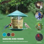 Bird Feeder Automatic Foot Feeding Tool Outdoor Bird Feeder Hanging Nut Feeding Multiple Hole Dispenser Holder Food Container - Image 2