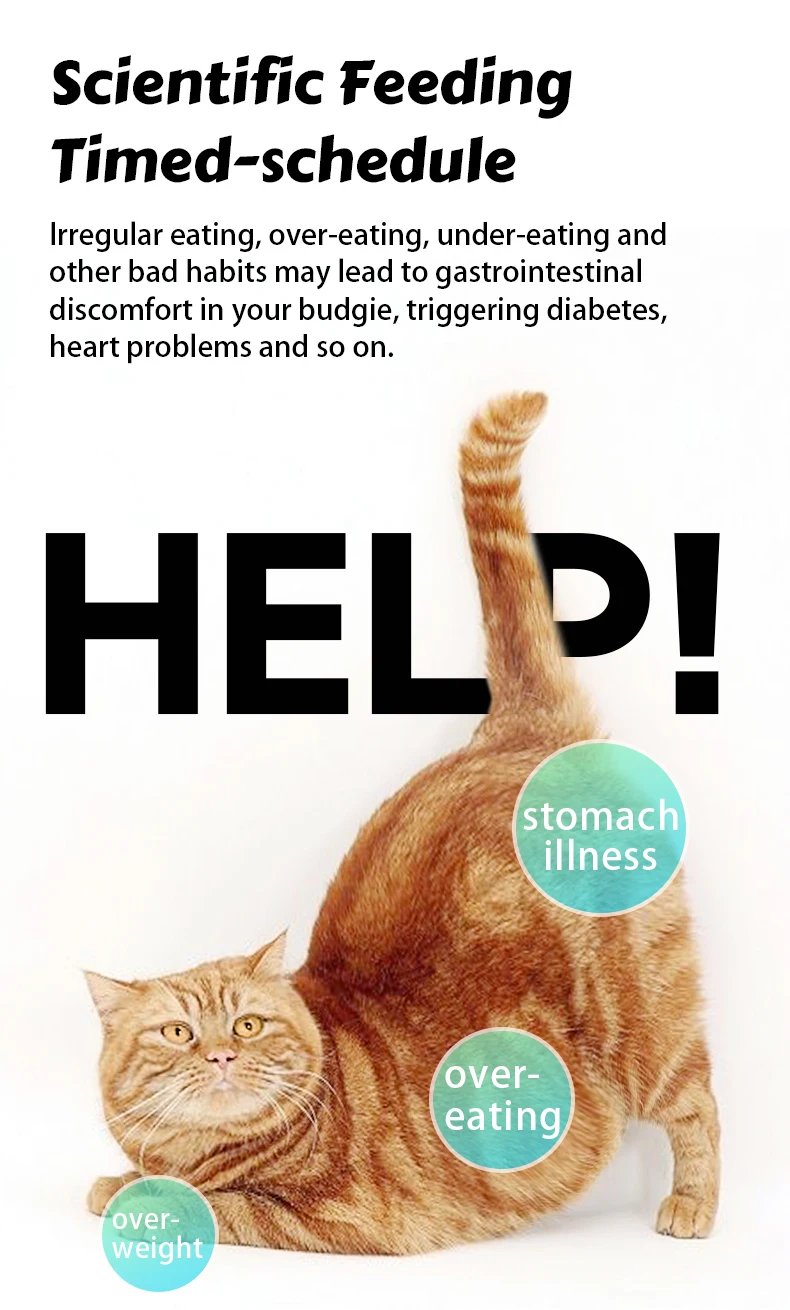 1080P HD Camera Automatic Cat Feeder with 5GWiFi Tuya Pet Cat Smart Food Kibble Dispenser Auto Feeder For Cats Dog Accessories