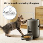 2L Camera Pet Feeder Timing Smart Automatic Feeder For Cats Dog Button WIFI APP Video Intelligent Dry Food Dispenser Dog Bowl - Image 3