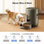 2L Camera Pet Feeder Timing Smart Automatic Feeder For Cats Dog Button WIFI APP Video Intelligent Dry Food Dispenser Dog Bowl - Image 4