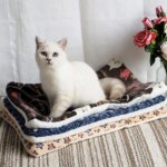 Large Size Flannel Dog Bed Thicken Cat Bed Sleeping Mat Dog Mat Blanket For Puppy Kitten Dog Bed Rug for Small Medium Large Dog - Image 5