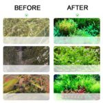 Aquarium CO2 Generator 1L 2L Fish Tank CO2 Cylinder Generator System Stainless Steel Water Injection Bubble Meter Aquatic Plant - Image 6