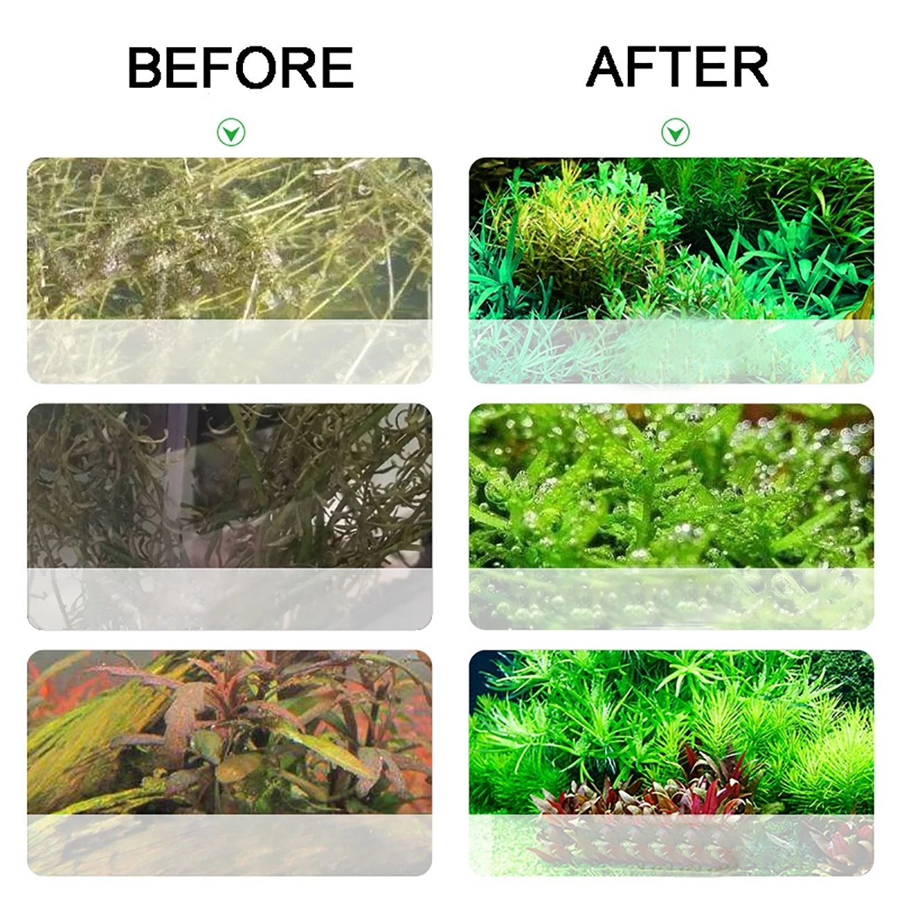 Aquarium CO2 Generator 1L 2L Fish Tank CO2 Cylinder Generator System Stainless Steel Water Injection Bubble Meter Aquatic Plant