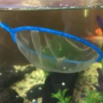 2pcs Fine Mesh Aquarium Accessories Stainless Steel Handle Aquarium Fish Tank Fishing Net Landing Net for Fish Accessories - Image 6