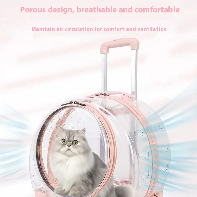 Transparent Pet Travel Carrier Portable Trolley Suitcase for Cats with Ventilation Holes Adjustable Handle Large Opening for Cat Transparent Pet Travel Carrier Portable Trolley Suitcase for Cats with Ventilation Holes Adjustable Handle Large Opening for Cat