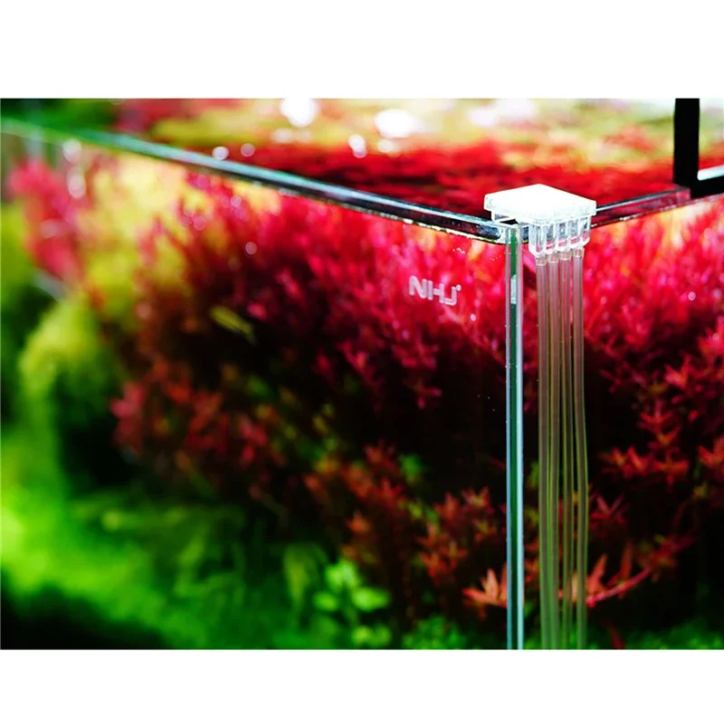 Grass Tank Seawater Tank Titration Pump Doser Bottle Aquarium Dosing Pump Liquid Container for Jebao or Kamoer Dosing