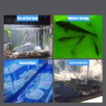 Aquarium Fish Tank Oxygen Pump Charging Dual-Purpose Air Pump Usb Lithium Battery Household Portable Fishing Mute 2400ma Outdoor - Image 6