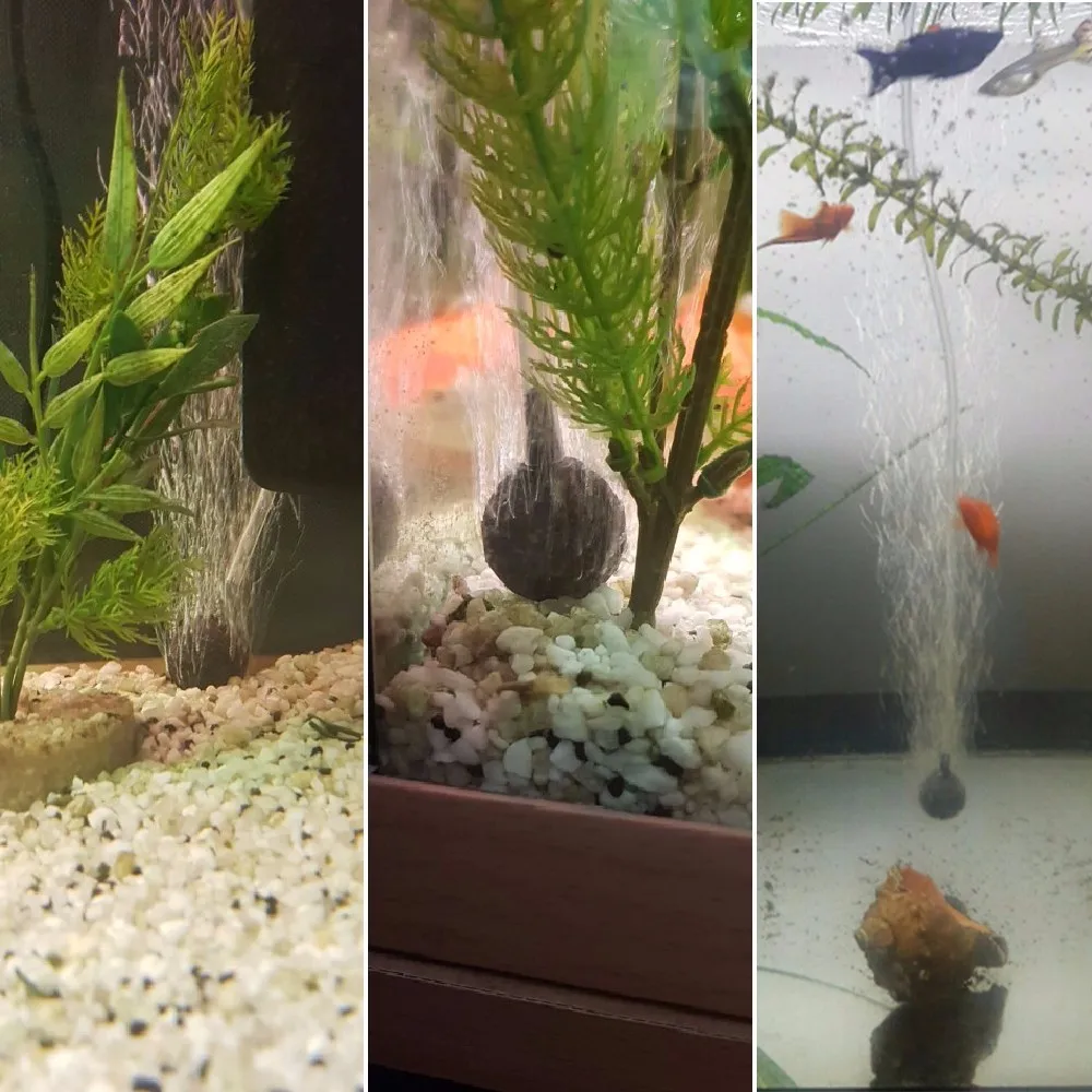 Aquarium Air Pump Fish Tank Mini Compressor Single Double Outlet with Check Valve Tube Aquatic Accessories 220V 3W 5W