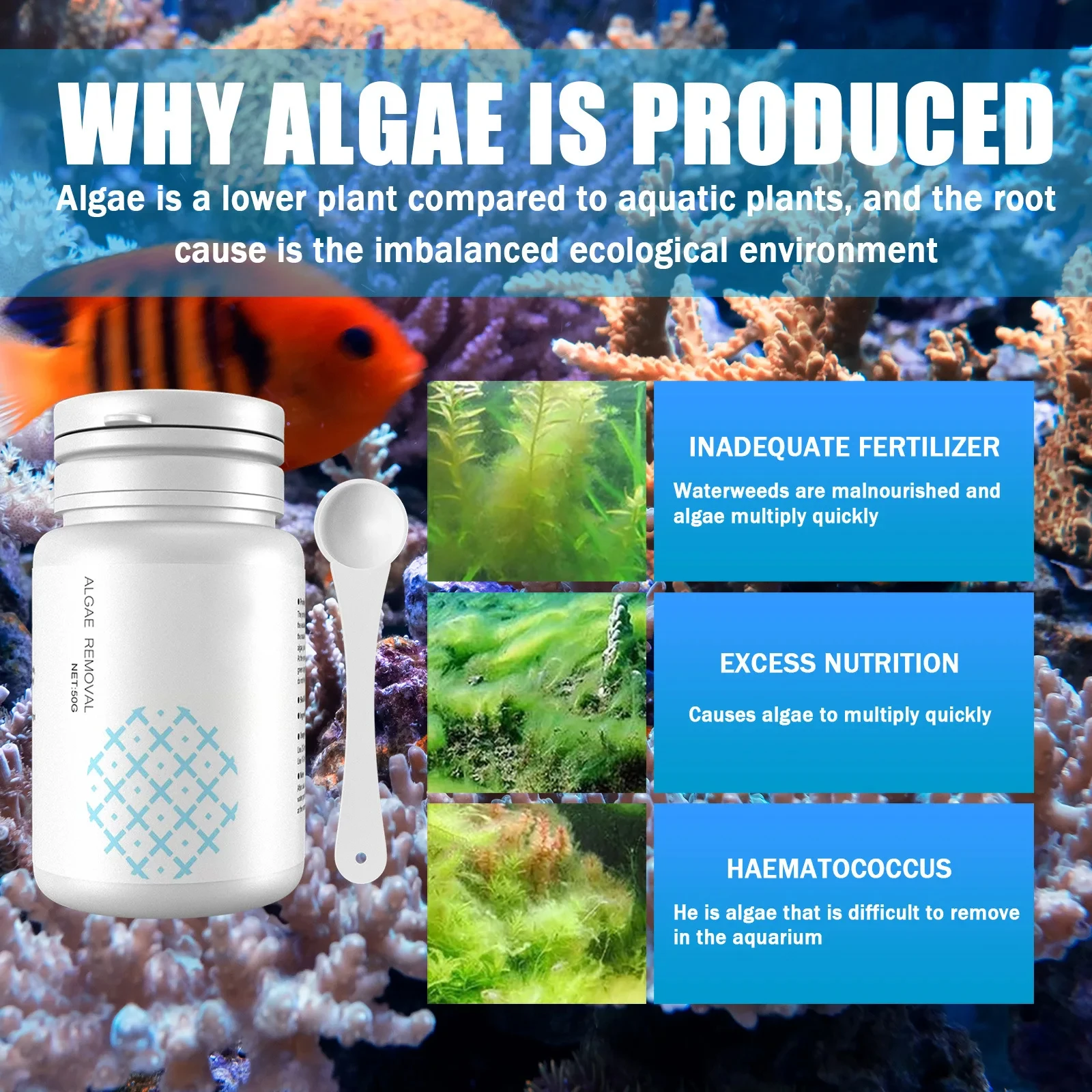Fish Tank Cleaning Algae Tablets Tank Moss Odor Remover Water Purify Aquarium Algaecide Control Cleaning Algae Repellent Agent Fish Tank Cleaning Algae Tablets Tank Moss Odor Remover Water Purify Aquarium Algaecide Control Cleaning Algae Repellent Agent