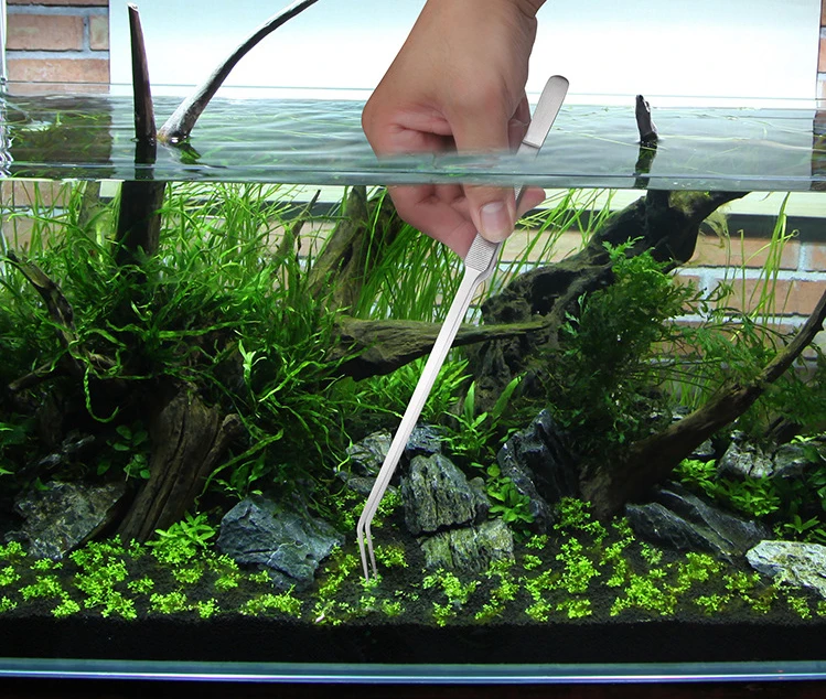 Aquarium Accessories Hard Stainless Steel Aquarium Tool Scissor Tweezers Plants Wave Scissors Fish Tank Shovels Cleaner Supplies Aquarium Accessories Hard Stainless Steel Aquarium Tool Scissor Tweezers Plants Wave Scissors Fish Tank Shovels Cleaner Supplies