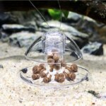 1PCS Fish Tank Aquarium Cleaner Snail Trap Catcher Plants Planaria Pest Plastic Catch Tool Environment Cleaner Aquarium Supplies - Image 3