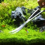 Aquarium Scissor Tools Set Wave Scissors Tweezers Plants Grass Stainless Cleaning Tools Fish Tank Shovels Aquarium Accessories - Image 4