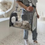 Cat Carrier Cat Bag Transparent Going Out Portable Bag Car Cat Breathable Space Capsule Pet Backpack Portable Messenger Cat Dog - Image 4