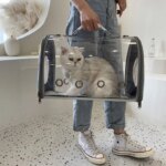 Cat Carrier Cat Bag Transparent Going Out Portable Bag Car Cat Breathable Space Capsule Pet Backpack Portable Messenger Cat Dog - Image 2