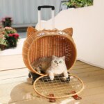 Rattan Cat Stroller Space Capsule Cat Carrier Large Pet Travel Bag for Cats & Dogs  Multi-Cat  Effortless Pet Stroller - Image 3
