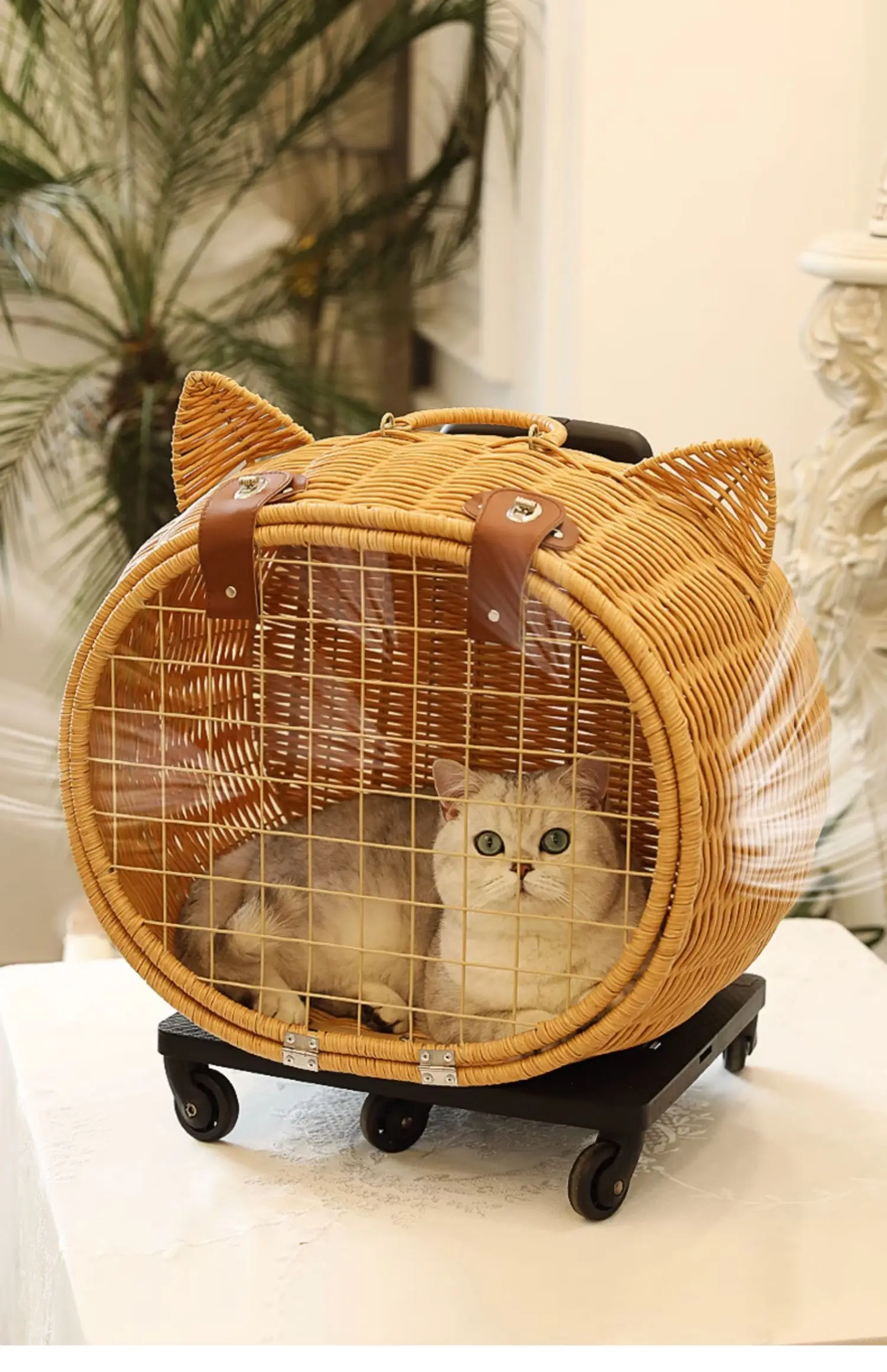 Rattan Cat Stroller Space Capsule Cat Carrier Large Pet Travel Bag for Cats & Dogs Multi-Cat Effortless Pet Stroller Rattan Cat Stroller Space Capsule Cat Carrier Large Pet Travel Bag for Cats & Dogs Multi-Cat Effortless Pet Stroller