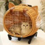 Rattan Cat Stroller Space Capsule Cat Carrier Large Pet Travel Bag for Cats & Dogs  Multi-Cat  Effortless Pet Stroller - Image 5