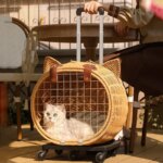 Rattan Cat Stroller Space Capsule Cat Carrier Large Pet Travel Bag for Cats & Dogs  Multi-Cat  Effortless Pet Stroller - Image 4