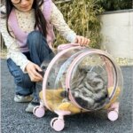 Transparent Pet Travel Carrier Portable Trolley Suitcase for Cats & Small Dogs Durable Pet Transport Case Professional Pet Cart - Image 2