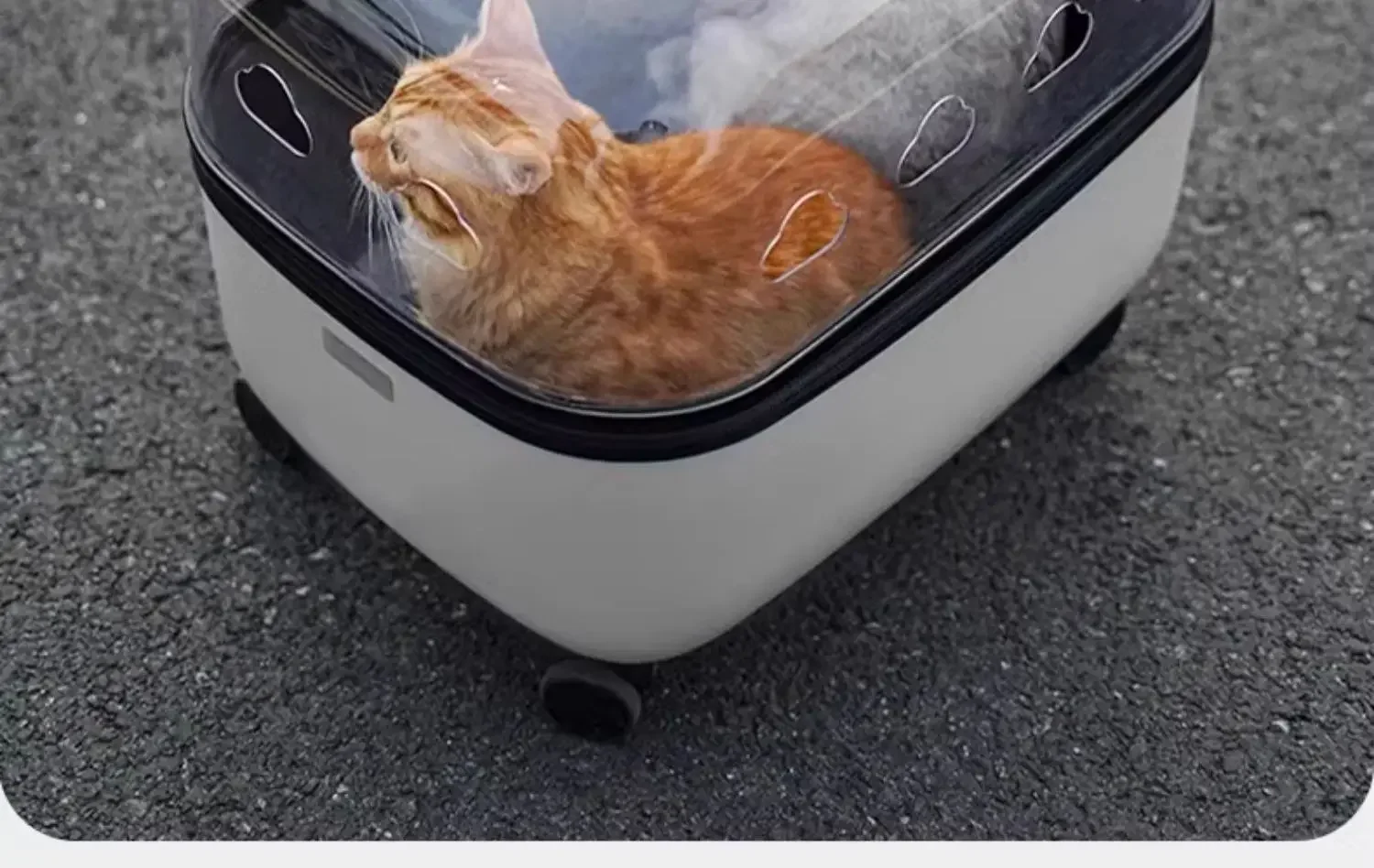 Panoramic Transparent Pet Trolley Box Large Capacity Cat Basket Lightweight Outdoor Transport Case Universal Pulley Pet Stroller