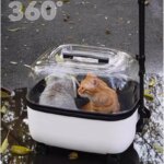 Panoramic Transparent Pet Trolley Box Large Capacity Cat Basket Lightweight Outdoor Transport Case Universal Pulley Pet Stroller - Image 6