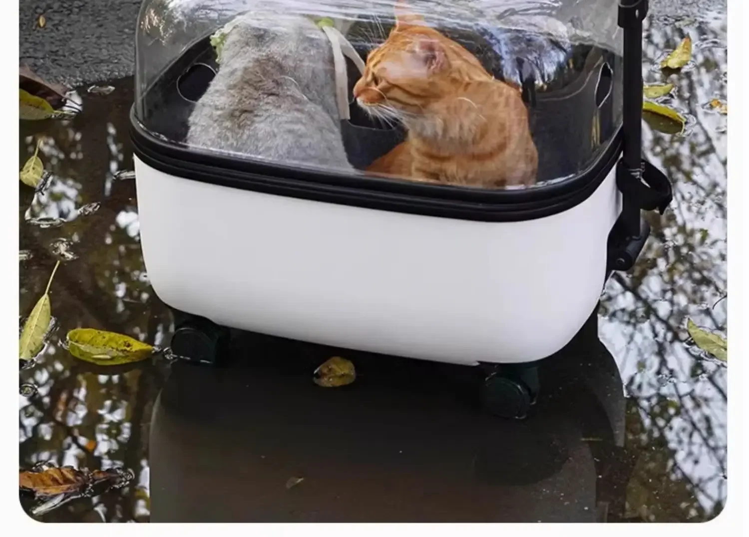 Panoramic Transparent Pet Trolley Box Large Capacity Cat Basket Lightweight Outdoor Transport Case Universal Pulley Pet Stroller