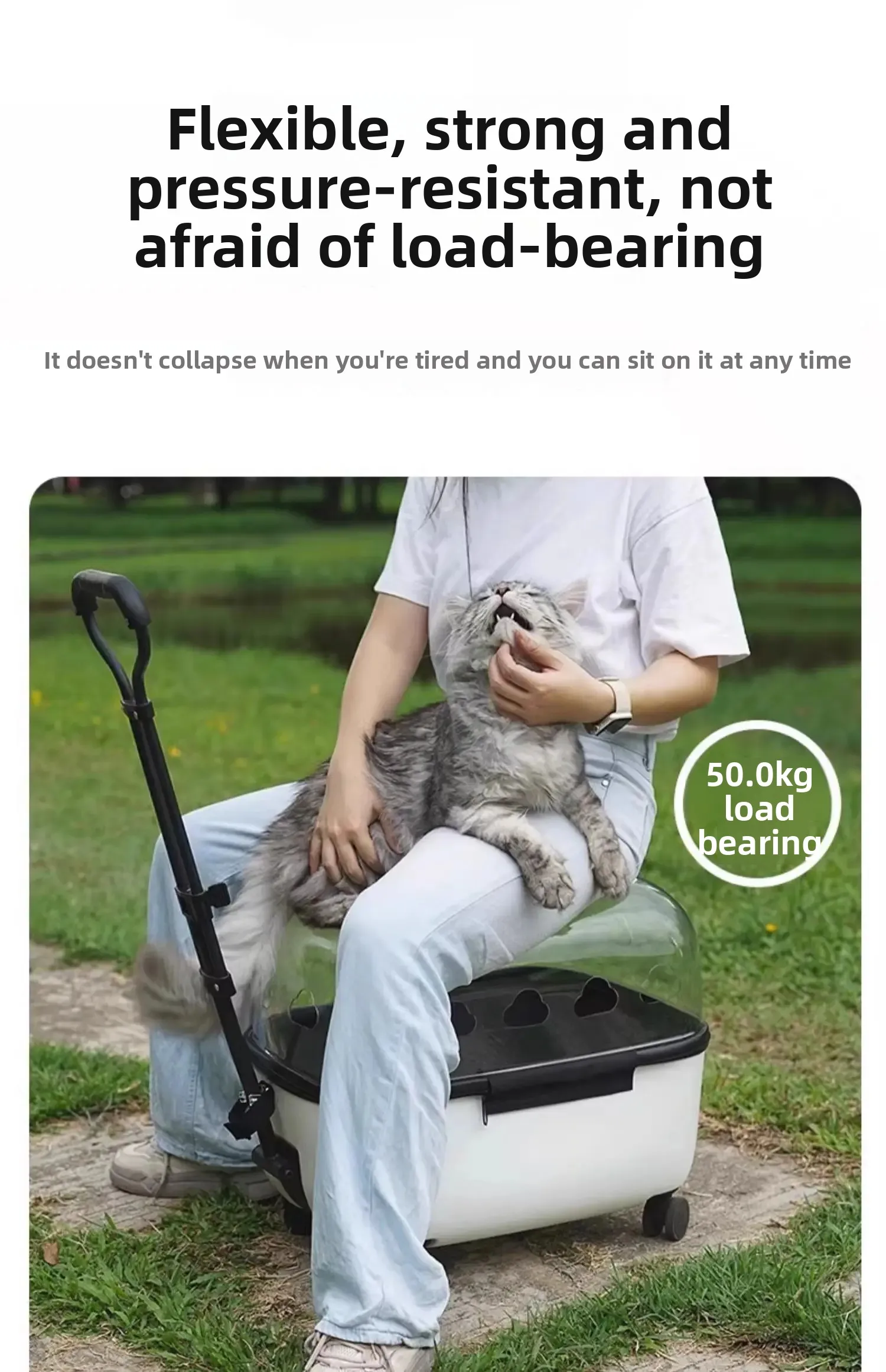 Panoramic Transparent Pet Trolley Box Large Capacity Cat Basket Lightweight Outdoor Transport Case Universal Pulley Pet Stroller