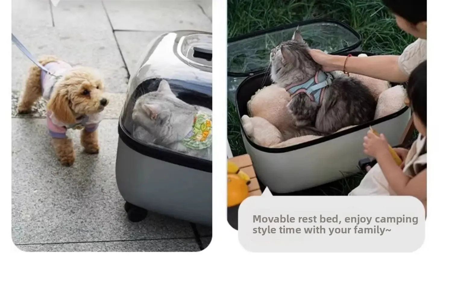 Panoramic Transparent Pet Trolley Box Large Capacity Cat Basket Lightweight Outdoor Transport Case Universal Pulley Pet Stroller