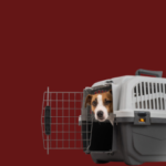 Doors, Gates & Ramps